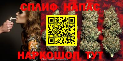 соль ск Новокубанск