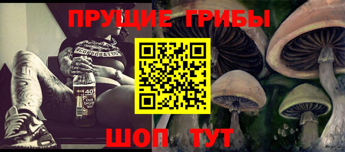 Галлюциногенные грибы ЛСД  Вход с VPN  Сухой Лог 