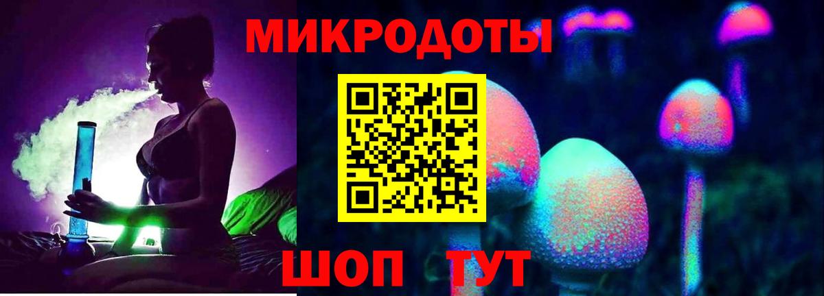 Псилоцибиновые грибы Cubensis Сухой Лог